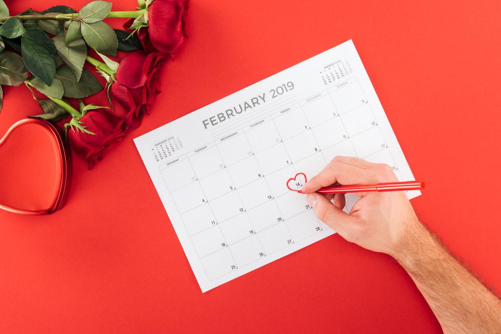 bijgesneden weergave van man markering met hart 14 februari datum op kalender geïsoleerd op rood, st Valentijnsdag concept - Foto, afbeelding