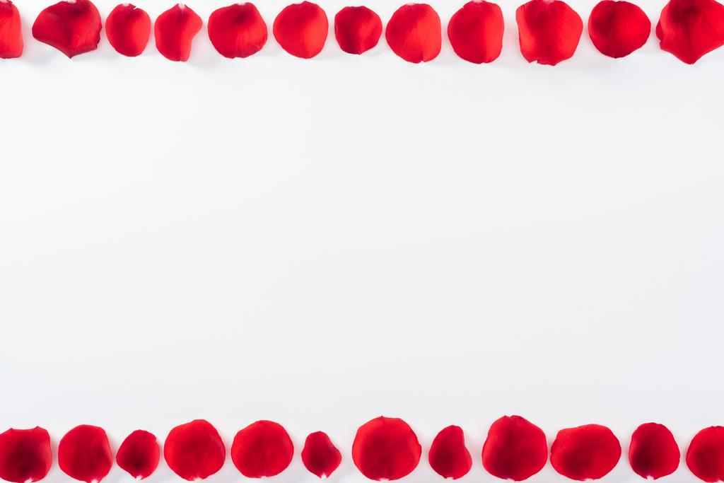 вид зверху квіткової рамки з пелюсток червоної троянди ізольовані на білому
 - Фото, зображення