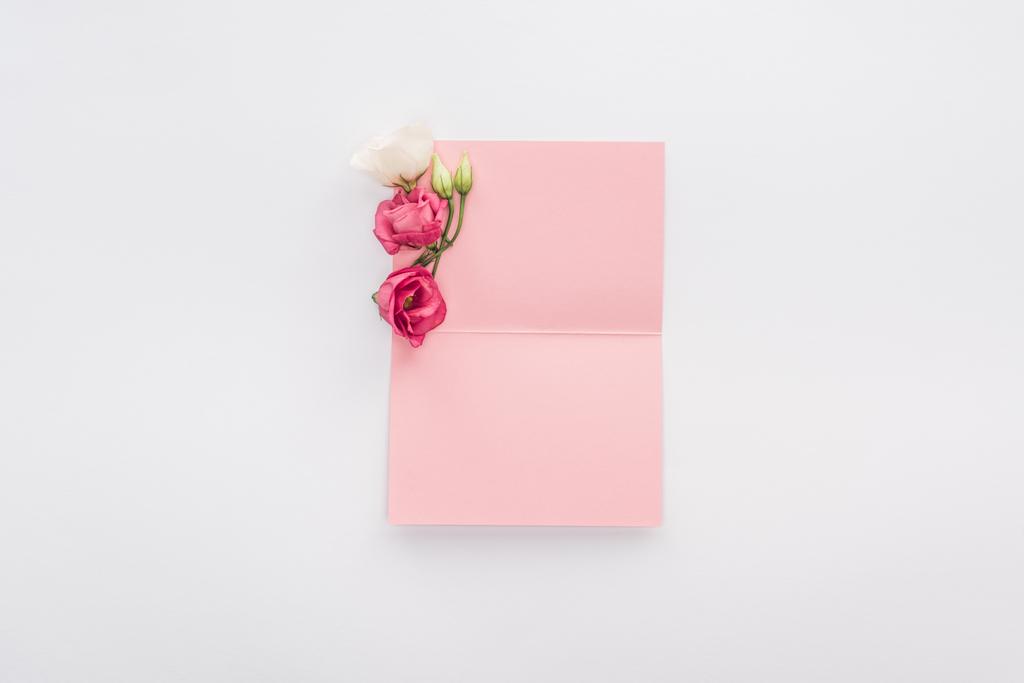 вид сверху пустой розовой карточки и цветы изолированы на белом
 - Фото, изображение