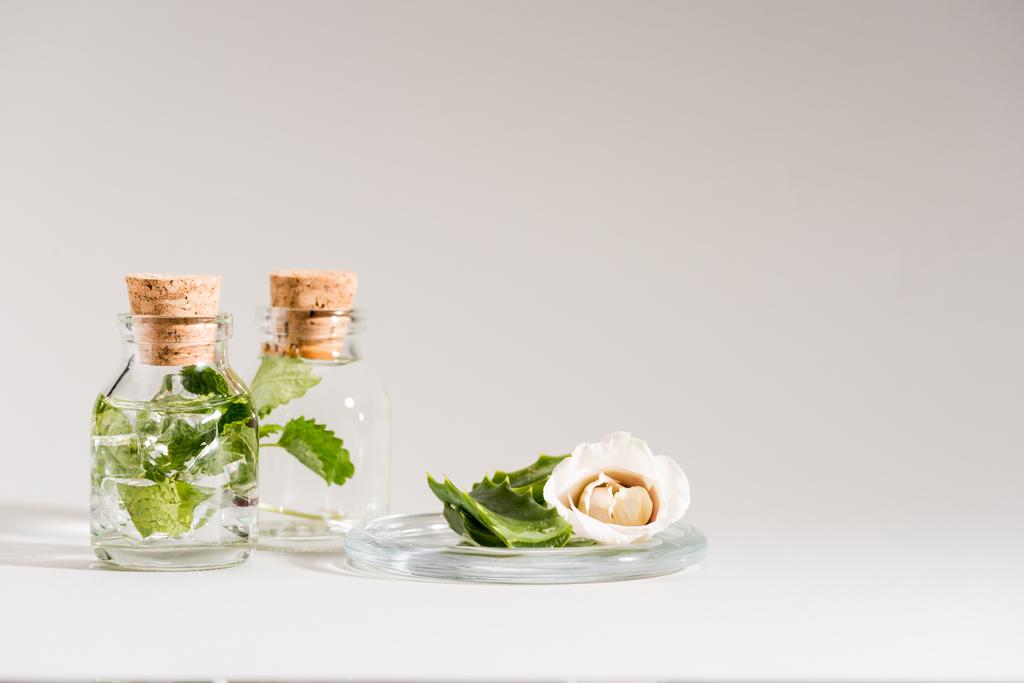 Photo studio de bouteilles en verre avec menthe et fleur sur gris
 - Photo, image