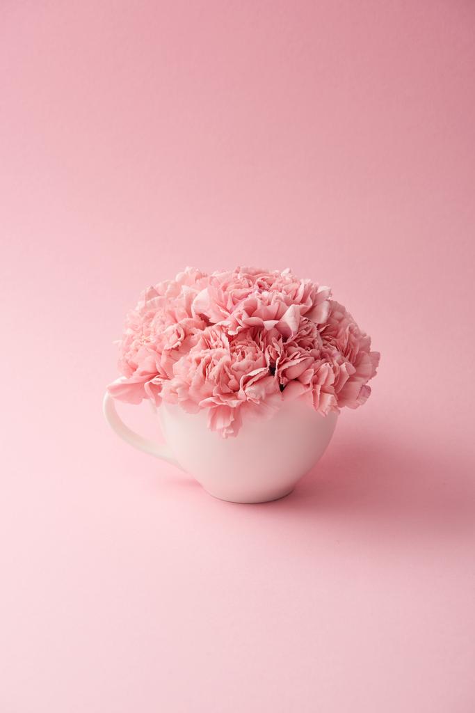 belles fleurs d'oeillet rose tendre en tasse blanche sur fond rose
 - Photo, image