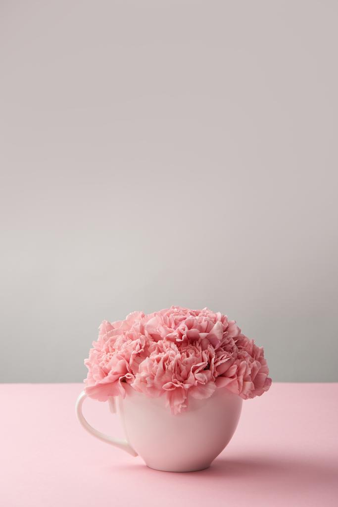 a gyönyörű pályázati rózsaszín szegfű a szürke fehér kupa - Fotó, kép