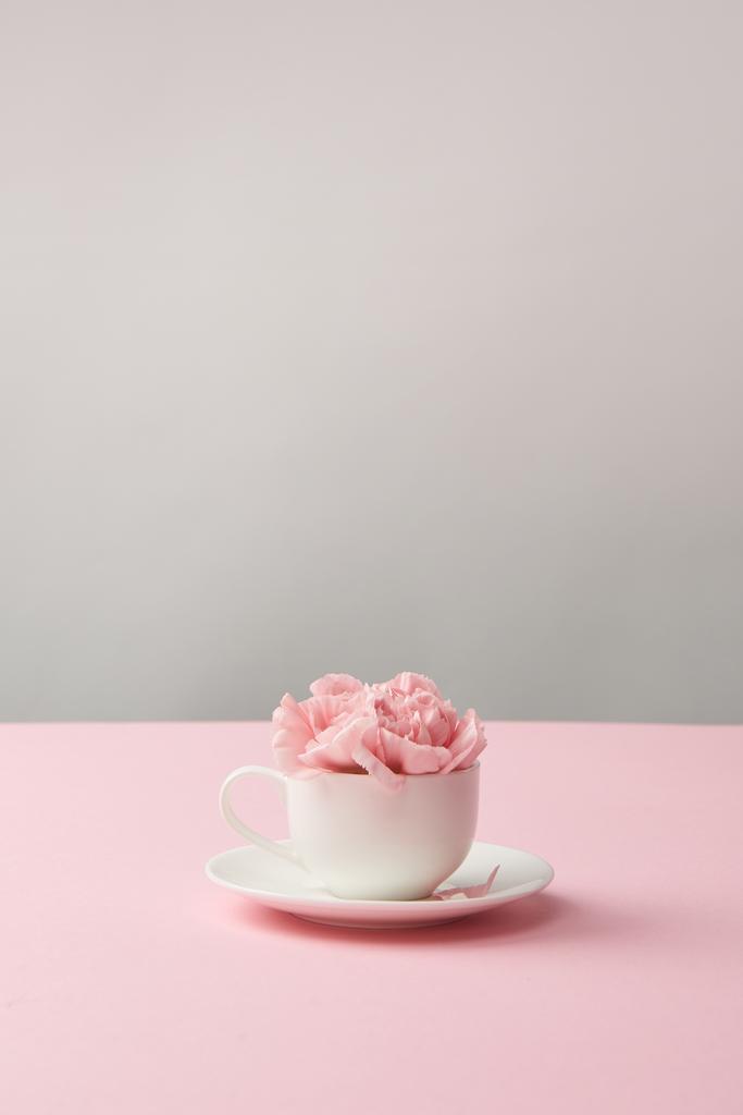 beautiful pink carnation flowers in white cup and saucer on grey - Photo, Image