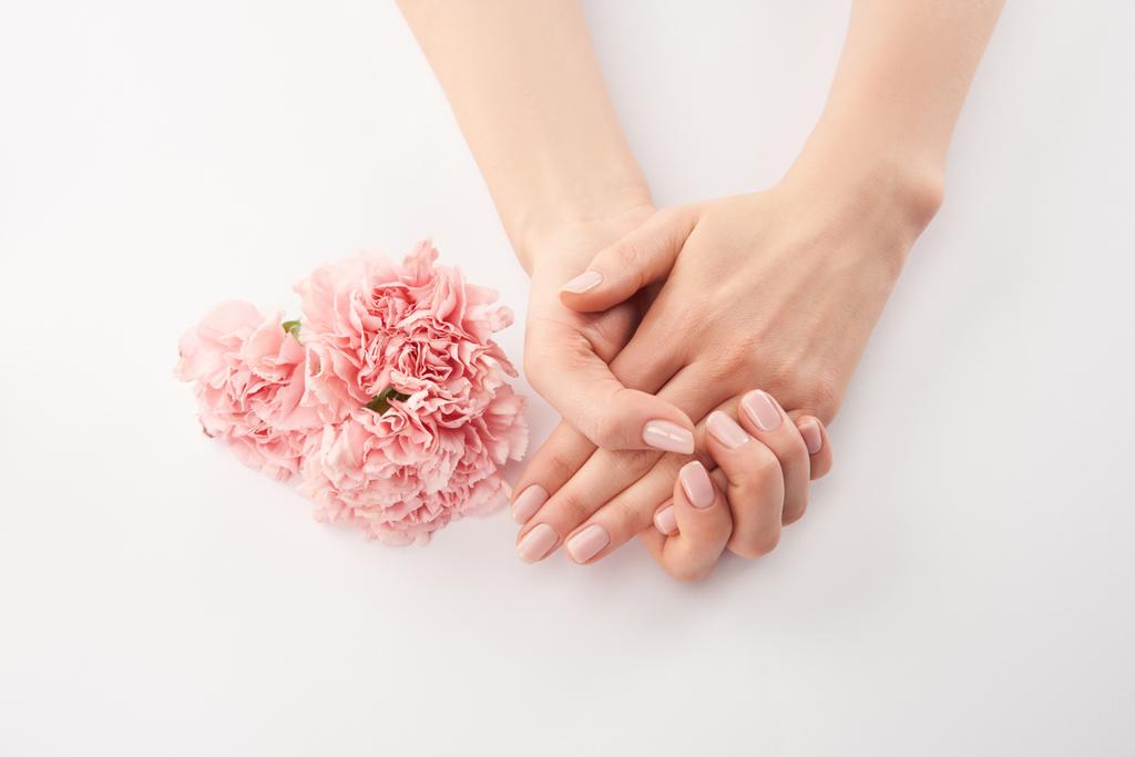Vista parziale di mani femminili e garofani fiori su sfondo bianco
 - Foto, immagini