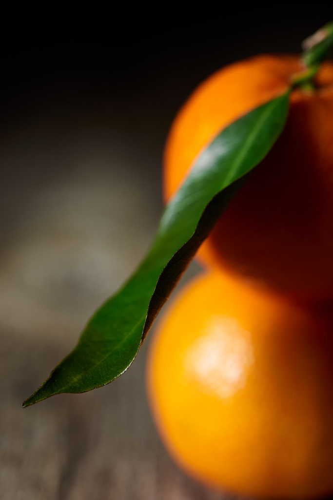 selektiver Fokus des grünen Blattes auf Bio-Mandarine  - Foto, Bild