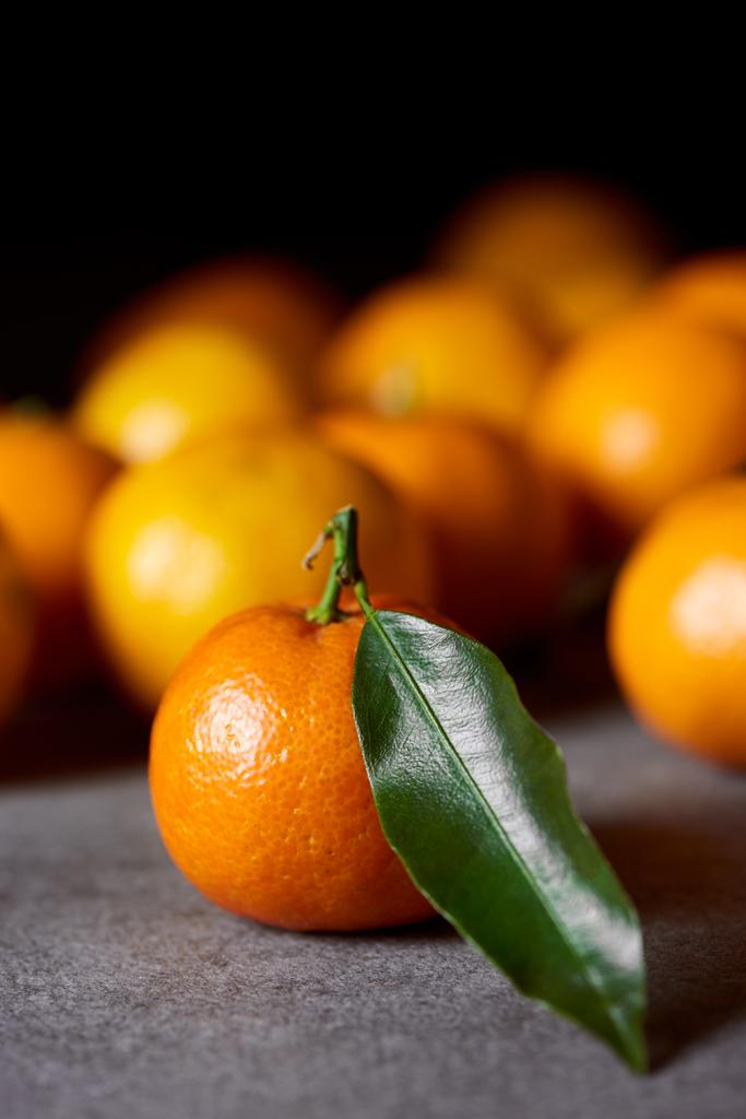 enfoque selectivo de clementina dulce cerca de mandarinas con hoja verde
 - Foto, imagen