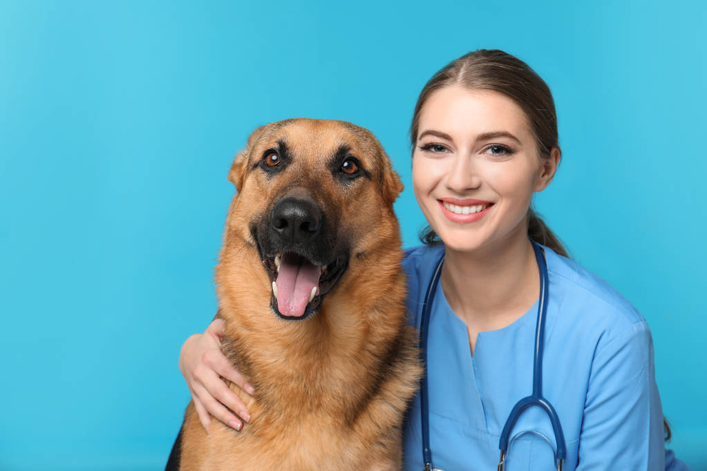 Tierarzt doc mit Hund auf farbigem Hintergrund - Foto, Bild