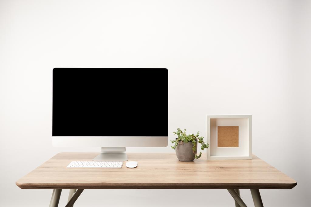 workplace with green plant, photo frame and desktop computer with copy space isolated on white - Photo, Image