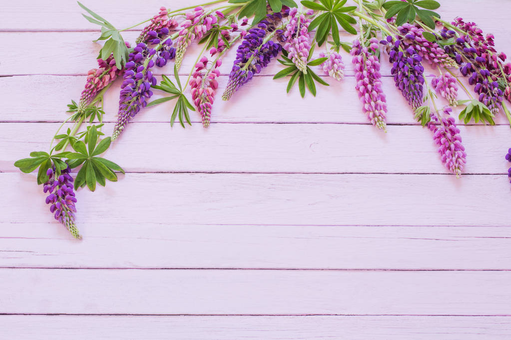 lupine on pink wooden background - Photo, Image