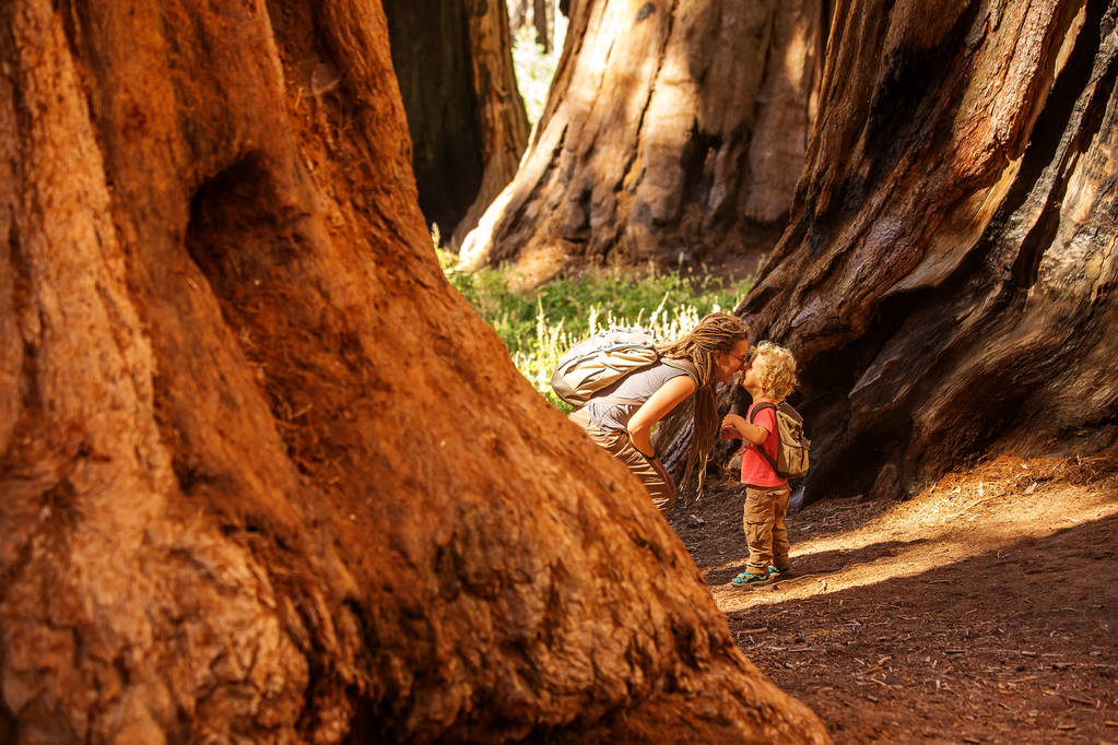 Family with boy visit Sequoia national park in California, USA - Photo, Image
