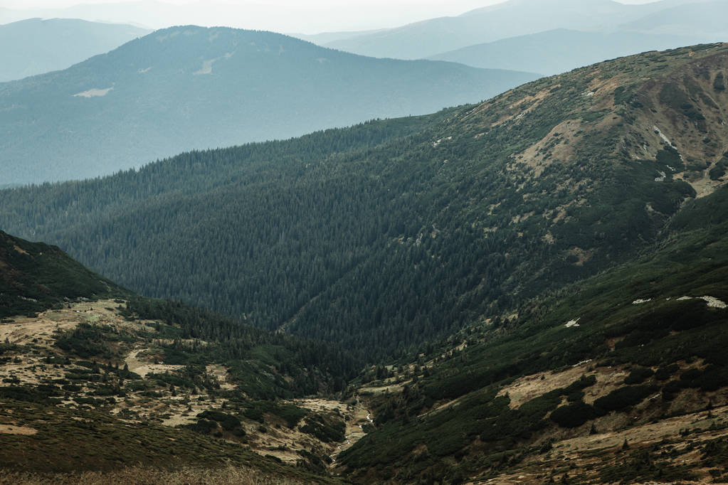 Belle montagne des Carpates en saison automnale.Destination de voyage pour le tourisme actif en Europe.Filtre film vintage Instagram
 - Photo, image