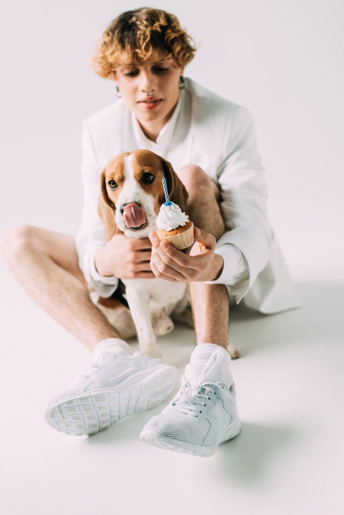 selektiver Fokus des Beagle-Hundes in Partymütze, der den zungennahen Mann mit lockigem Haar zeigt, der Cupcake auf grauem Hintergrund hält - Foto, Bild