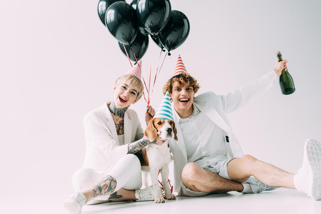 cheerful couple sitting near beagle dog with balloons and bottle of champagne on grey background - Photo, Image