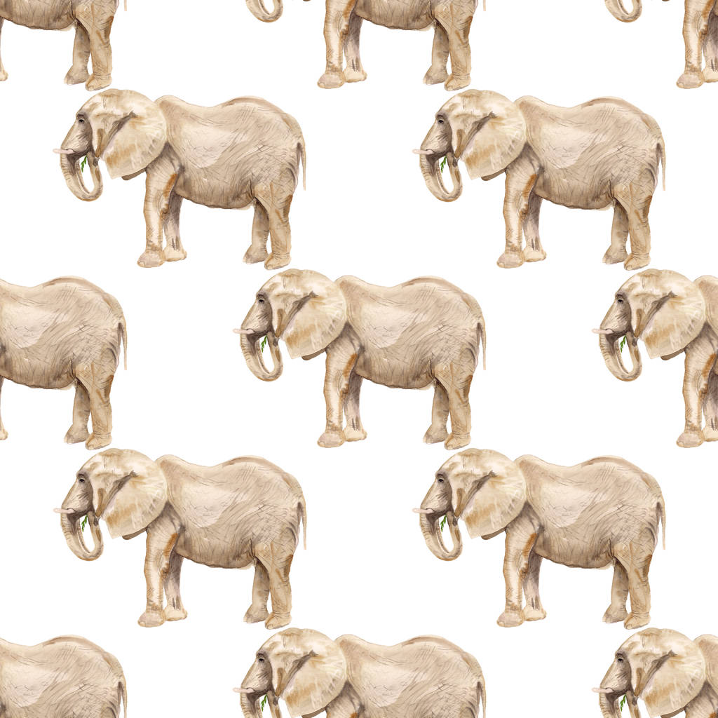 Patrón sin costura con elefante - Foto, Imagen