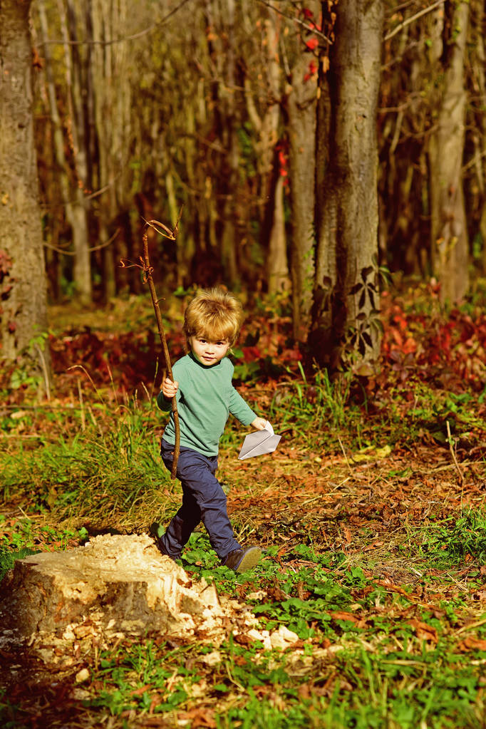 Kid walk in woods. Little kid play on fresh air. Taveler and adventurer - Photo, Image