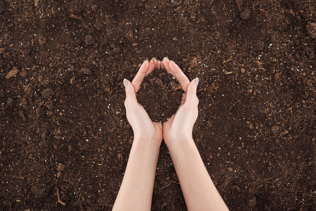 Ausgeschnittene Ansicht einer Frau, die den Boden in den Händen hält und die Natur schützt  - Foto, Bild
