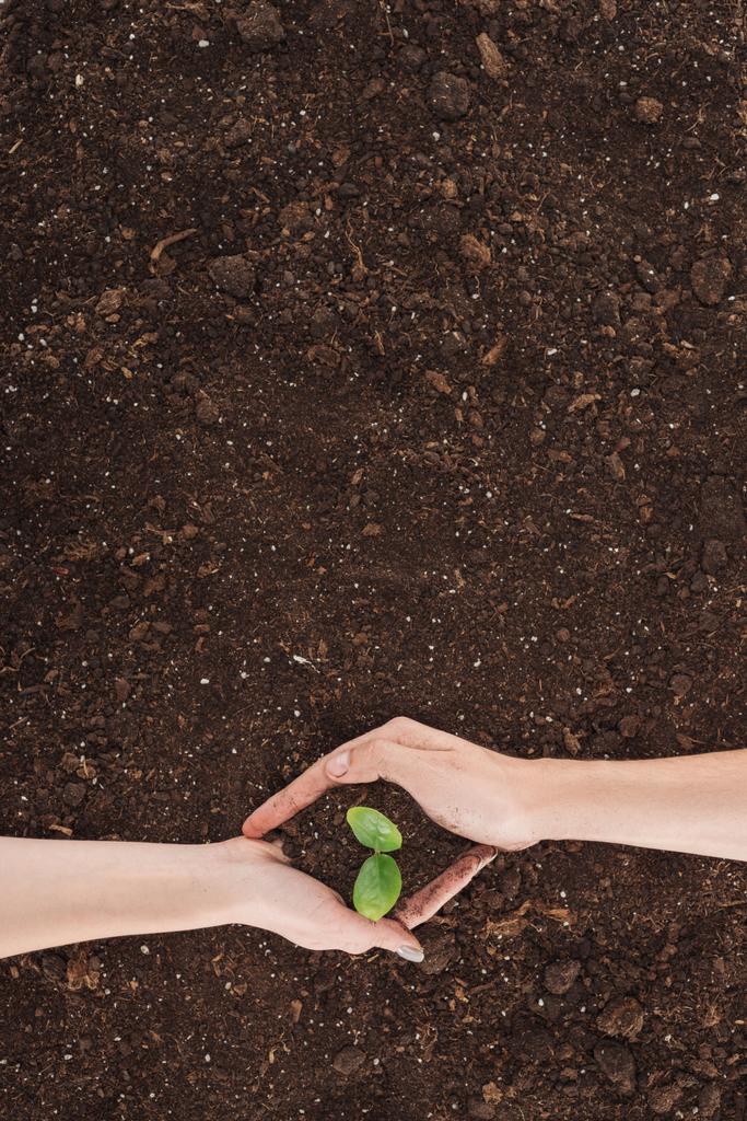 обрізаний вид чоловіка і жінки, що тримає землю з рослиною в руках, захищаючи концепцію природи
  - Фото, зображення