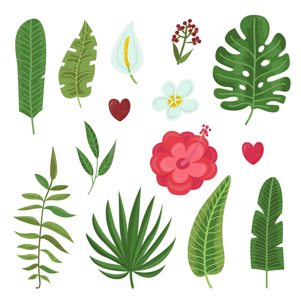 Vector set of tropical leaves and flowers. Vector illustration for your design - Vector, Image