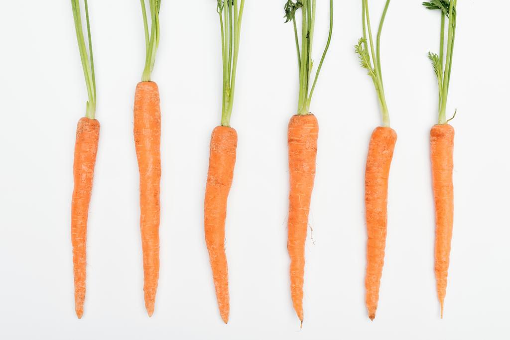 vue de dessus de carottes entières fraîches et mûres disposées en rangée isolées sur blanc
 - Photo, image