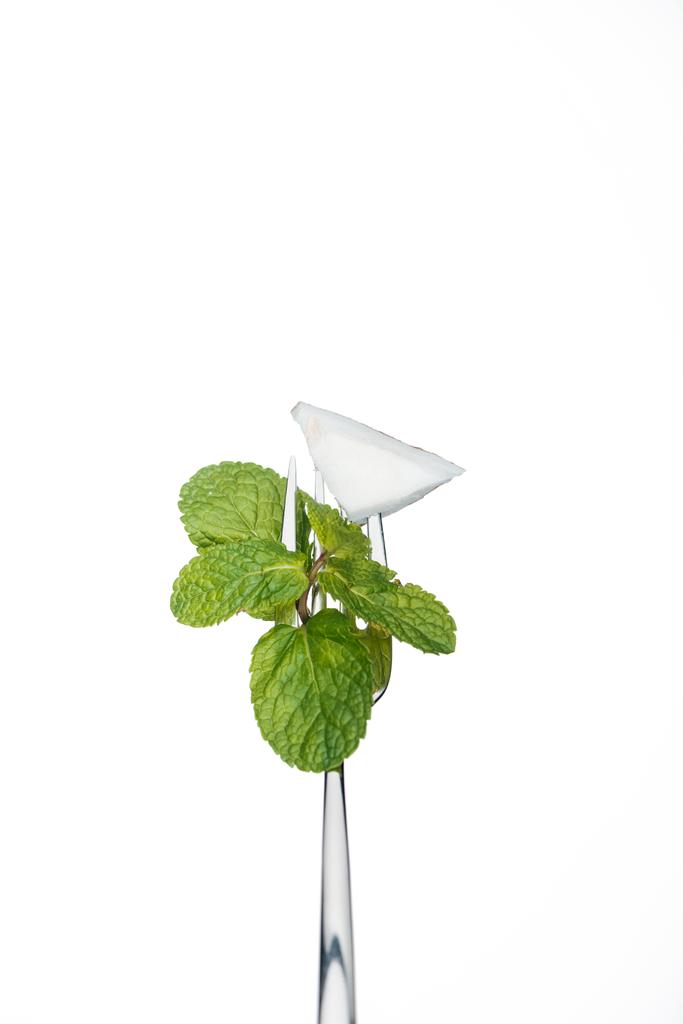 pedaço de coco e folhas de hortelã em garfo isolado em branco
 - Foto, Imagem