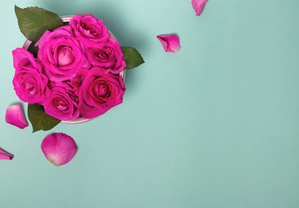 Belle rose rosa su sfondo color pastello
 - Foto, immagini