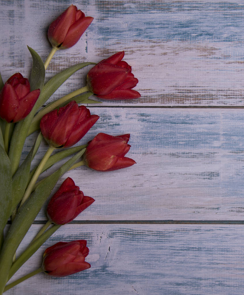 freschi tulipani colorati su sfondo di legno
  - Foto, immagini