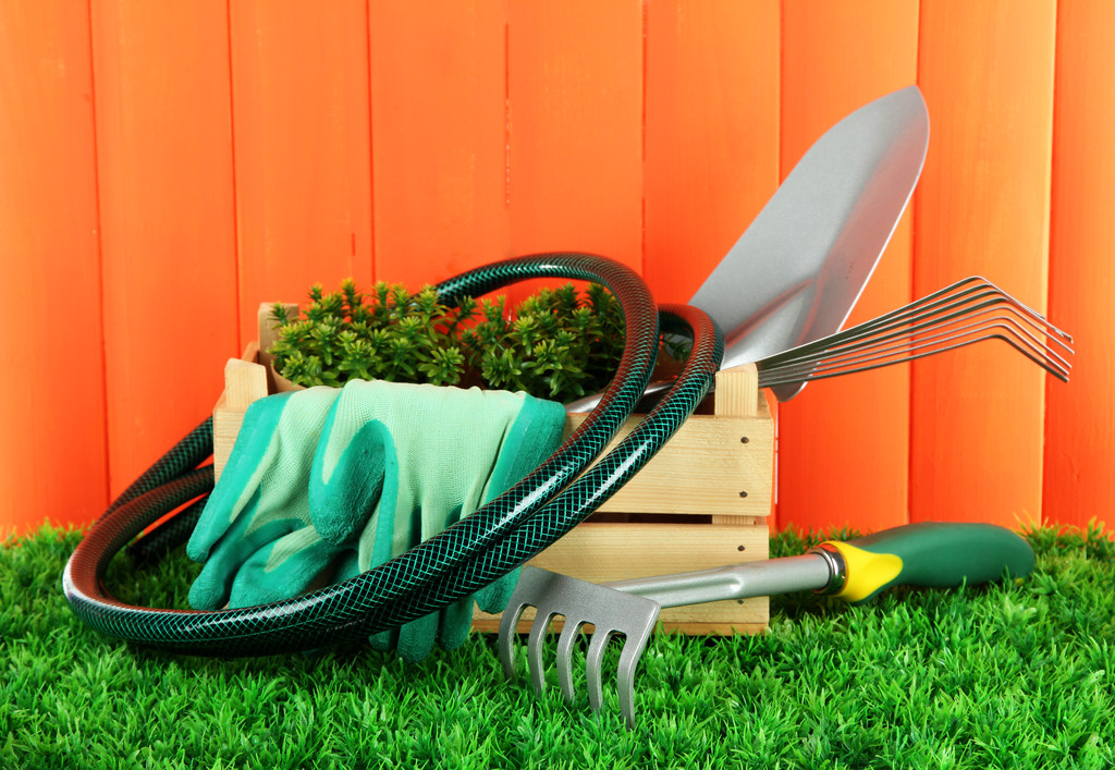 narzędzia ogrodowe na trawie w ogrodzie - Zdjęcie, obraz
