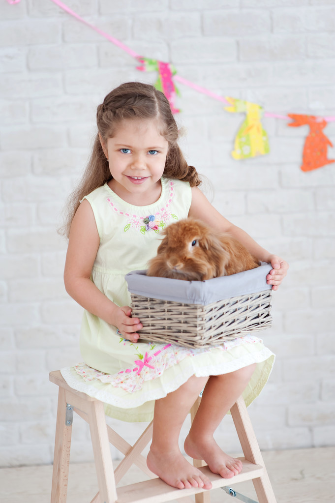 Девушка сидит на лестнице с кроликом
 - Фото, изображение