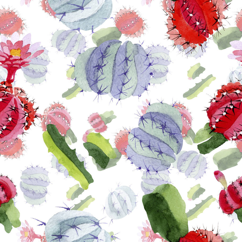 Groene en rode cactussen aquarel illustratie set. Naadloze achtergrondpatroon. Structuur behang print textuur. - Foto, afbeelding