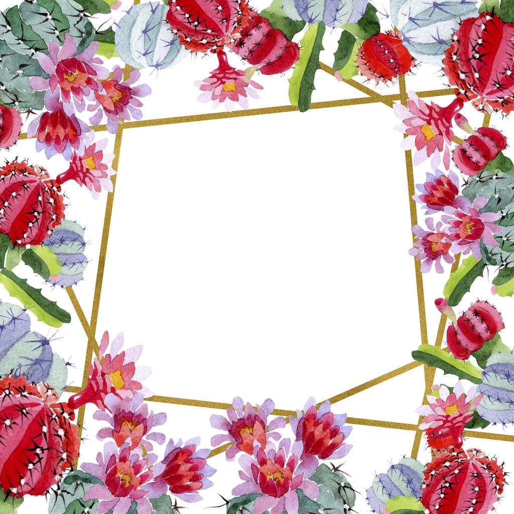 Cactus verdes y rojos con flores aisladas en blanco. Conjunto de ilustración de fondo acuarela. Marco ornamento borde con espacio de copia
. - Foto, Imagen