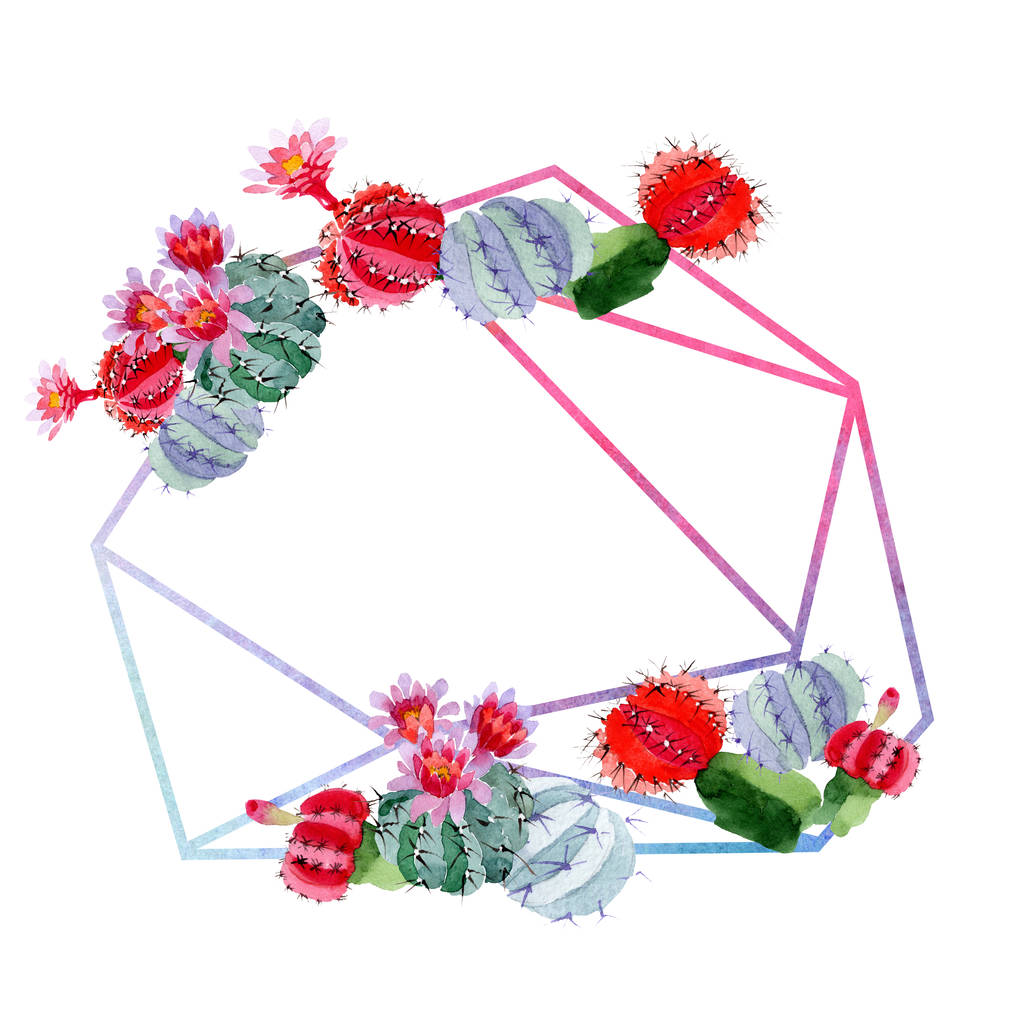 Groene en rode cactussen met bloemen op wit wordt geïsoleerd. Aquarel achtergrond afbeelding instellen. Frame grens sieraad met kopie ruimte. - Foto, afbeelding
