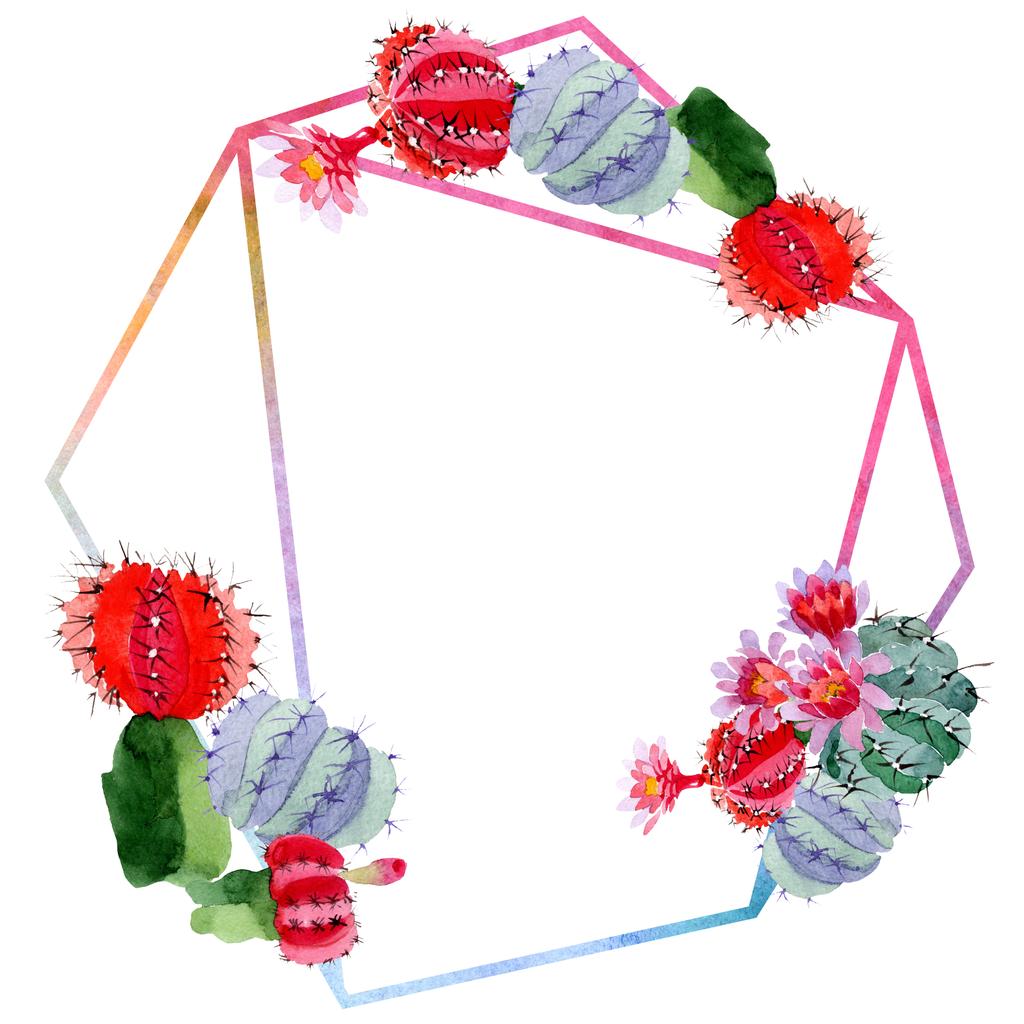 Зелений і червоний кактуси з квітами ізольовані на білому. Набір ілюстрацій для акварельного фону. Прикраса рамки з пробілом для копіювання
. - Фото, зображення