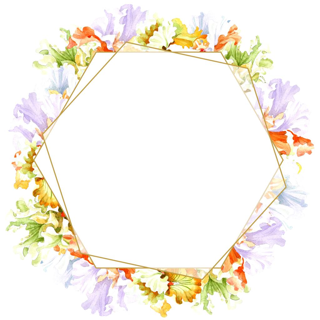 オレンジ白いアイリスの花植物花 野生春葉のワイルドフラワーが分離されました 水彩画背景イラスト セット 水彩描画のファッション Aquarelle 分離します フレーム枠飾りスクエア ロイヤリティフリー写真 画像素材