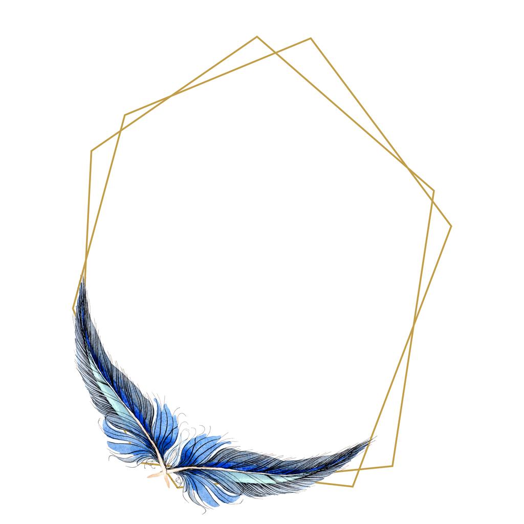 Watercolor blue and black bird feather from wing isolated. Aquarelle feather for background, frame or border. Watercolour drawing fashion aquarelle isolated. Frame border ornament square. - Photo, Image