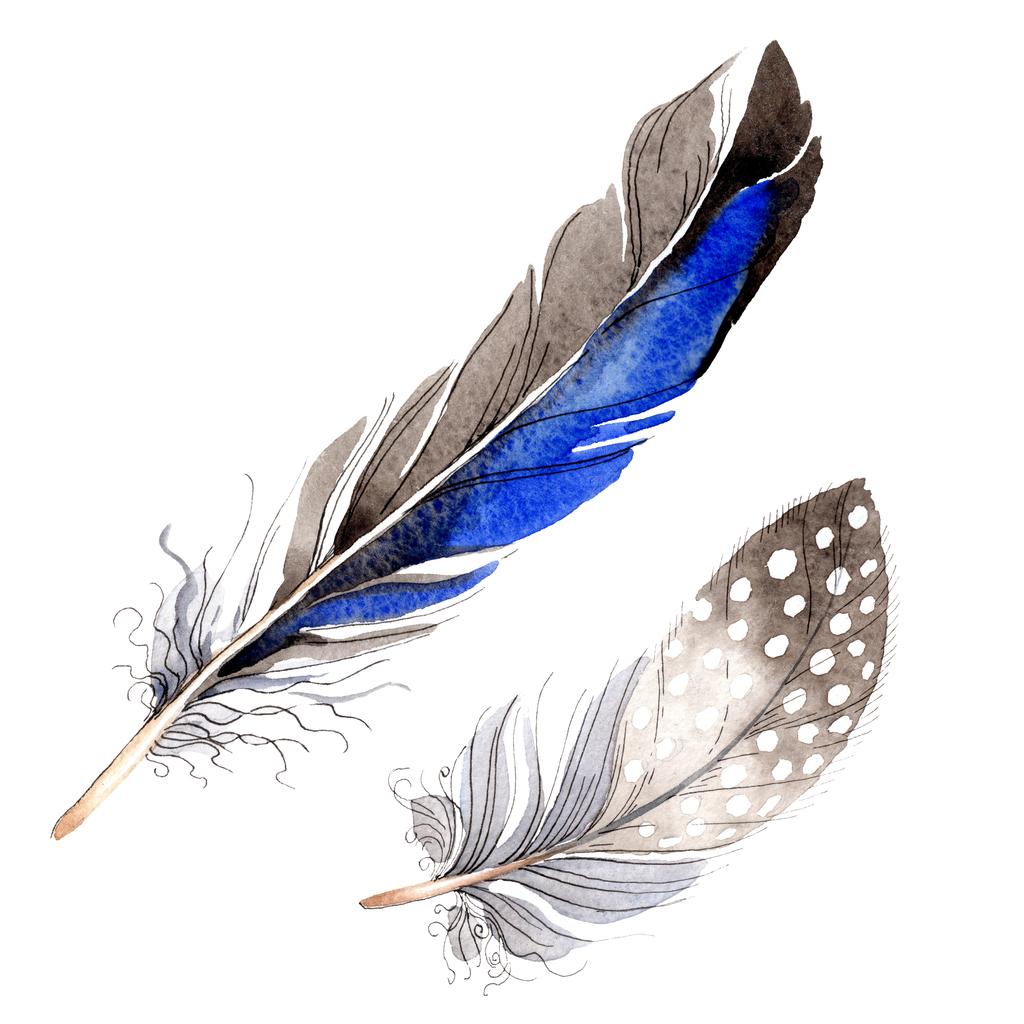 Aquarelle bleu et noir plume d'oiseau de l'aile isolée. Plume Aquarelle pour fond. Mode dessin aquarelle. Élément d'illustration de plumes isolées
. - Photo, image