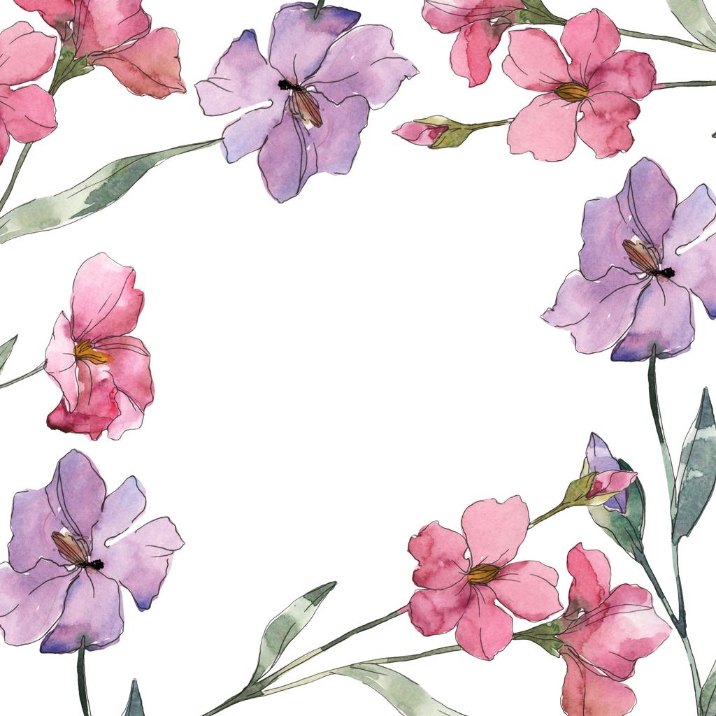 ピンクと紫亜麻花植物の花。野生春葉のワイルドフラワーが分離されました。水彩画背景イラスト セット。水彩描画ファッション aquarelle。フレーム枠飾りスクエア. - 写真・画像