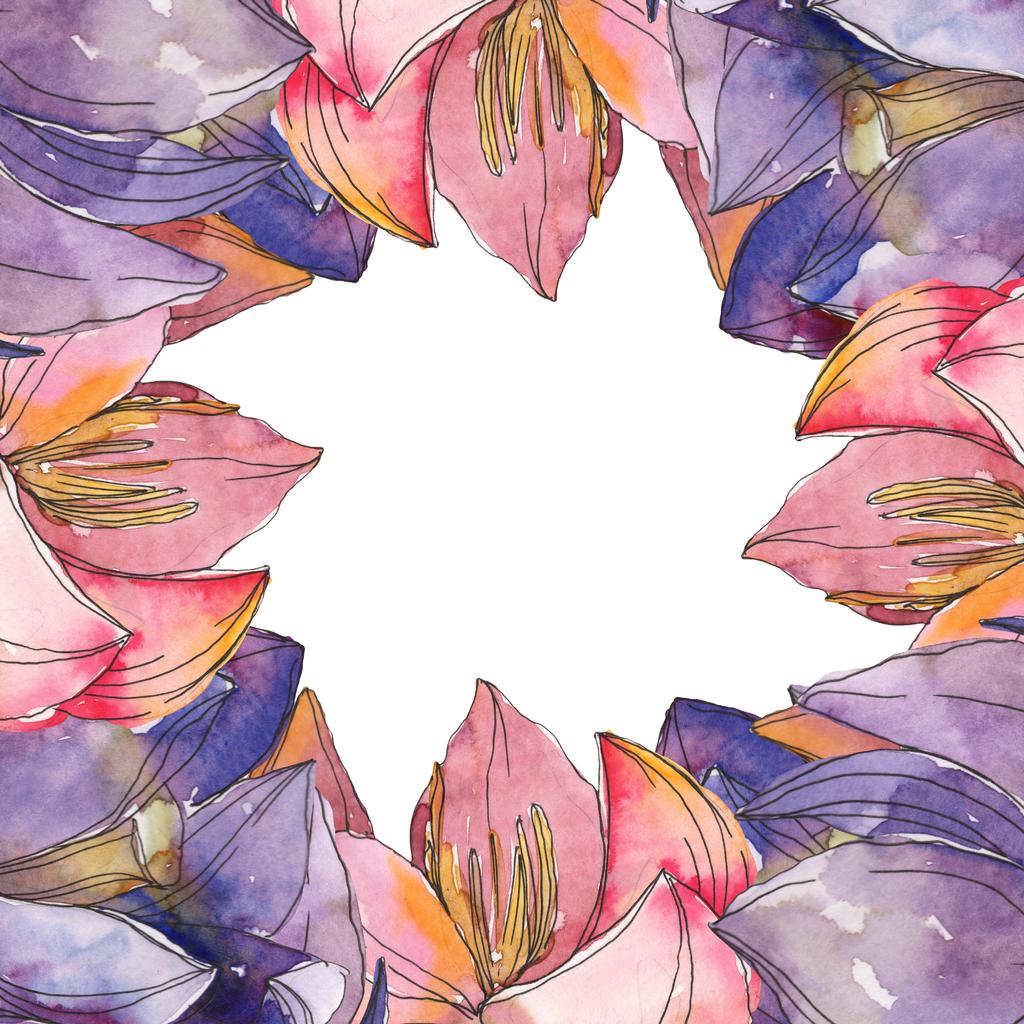 Růžové a fialové lotus foral botanické květin. Divoký jarní listové wildflower izolován. Sada akvarel pozadí obrázku. Akvarel výkresu módní aquarelle. Frame hranice ozdoba náměstí. - Fotografie, Obrázek