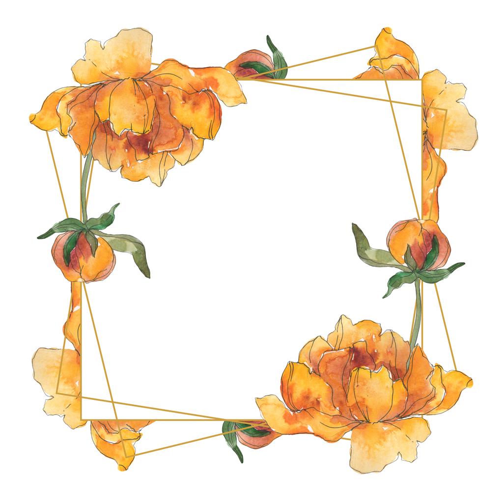 ΠΑΙΩΝΙΑ ΚΙΤΡΙΝΟ floral βοτανικό λουλούδι. Άγρια άνοιξη φύλλων wildflower απομονωμένη. Ακουαρέλα φόντο εικόνα σύνολο. Ακουαρέλα σχεδίασης μόδας aquarelle απομονωμένη. Πλαίσιο συνόρων στολίδι τετράγωνο. - Φωτογραφία, εικόνα
