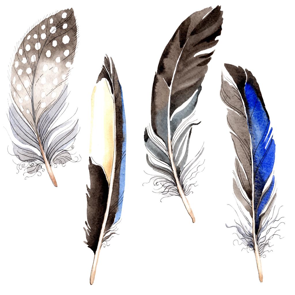 Plumas de pájaro de ala aisladas en blanco. Acuarela fondo ilustración conjunto
. - Foto, imagen