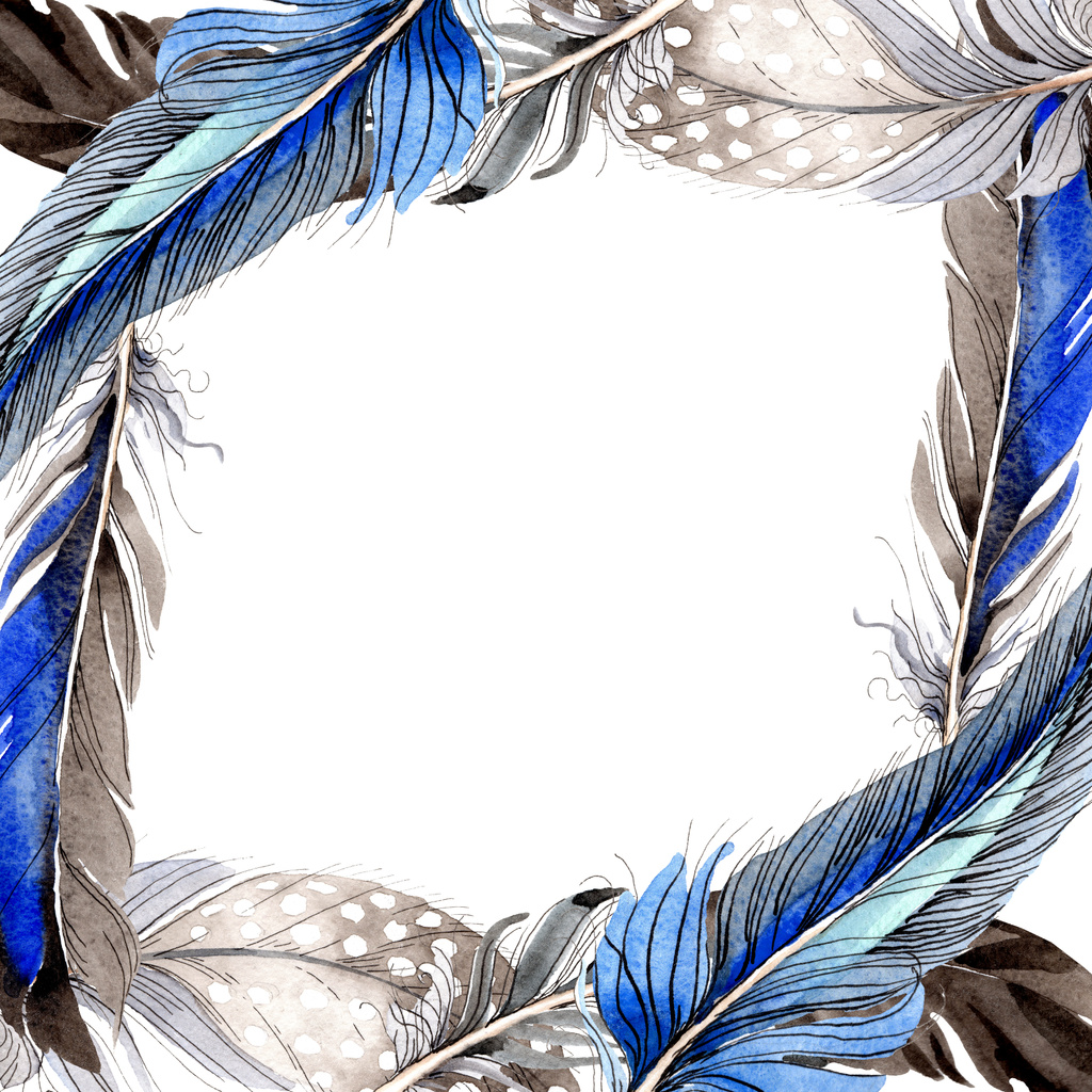 De veren van de vogel van vleugel geïsoleerd op wit. Aquarel achtergrond afbeelding instellen. Frame grens sieraad. - Foto, afbeelding