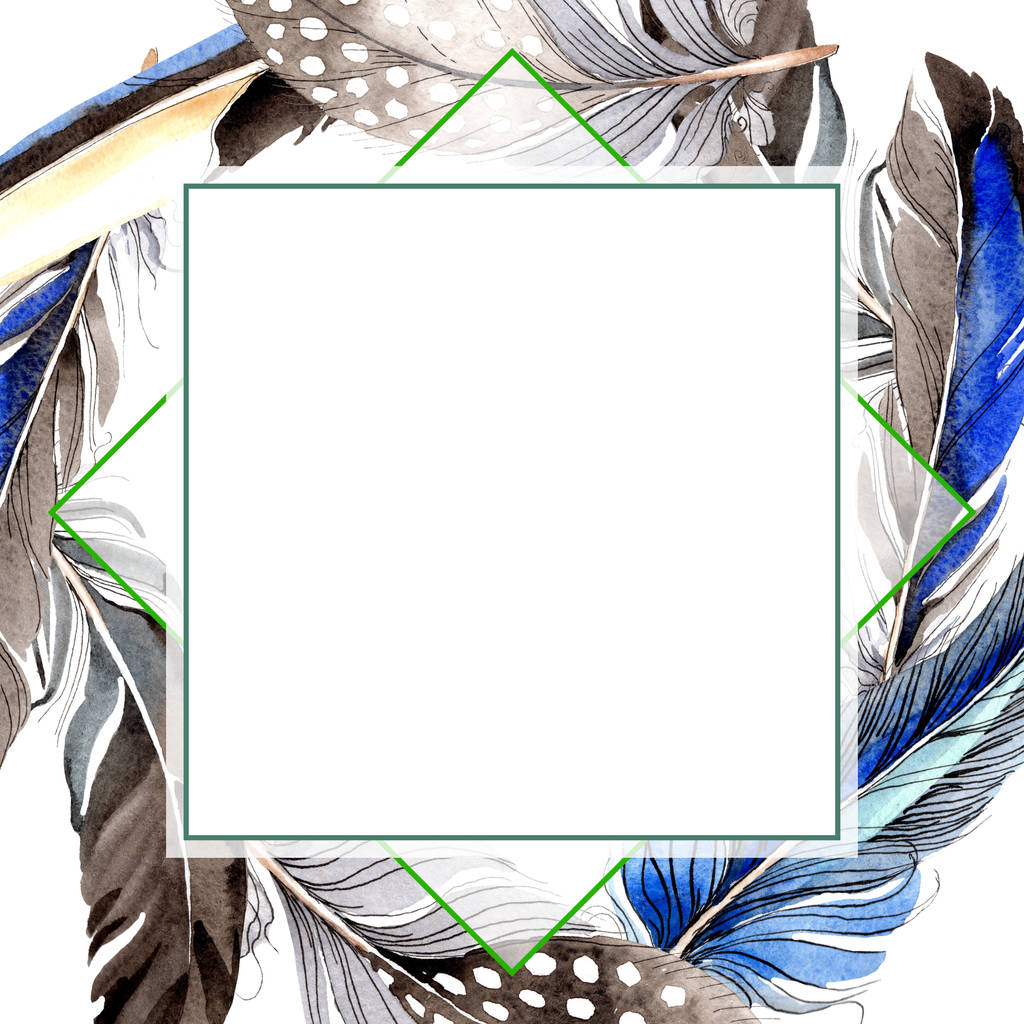 Bird feathers from wing isolated on white. Watercolor background illustration set. Frame border ornament. - Photo, Image