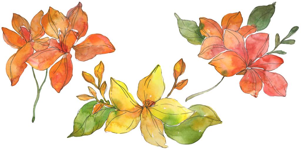 赤と黄色熱帯花植物の花 野生春葉ワイルドフラワー 水彩画背景イラスト セット 水彩描画ファッション Aquarelle 孤立した花の図要素 ロイヤリティフリー写真 画像素材