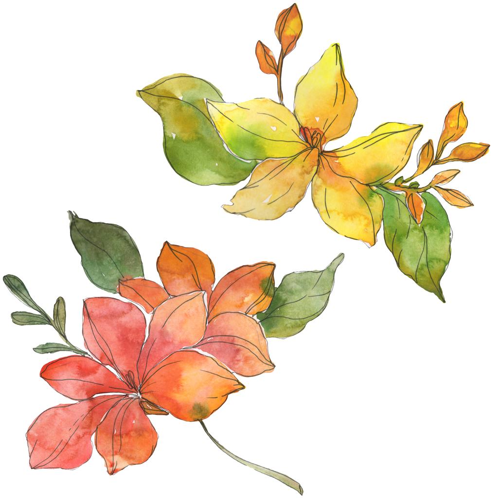 Piros és sárga trópusi virág botanikai virágok. Vad tavaszi levél vadvirág. Akvarell háttér illusztráció készlet. Akvarell rajz divat aquarelle. Elszigetelt virág ábra elem. - Fotó, kép