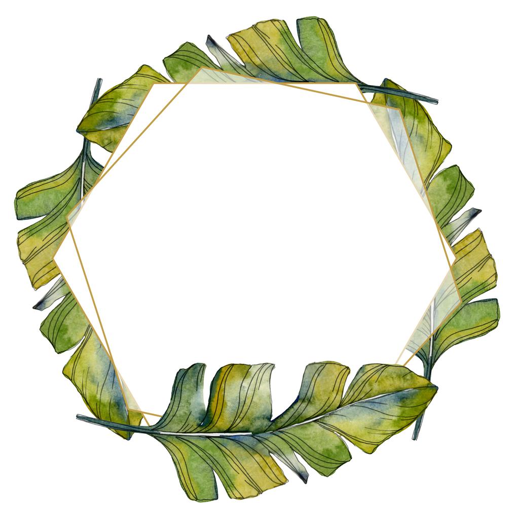 Πράσινο φύλλο φυτού Βοτανικός Κήπος φύλλωμα. Εξωτικά τροπικά Χαβάης καλοκαίρι. Ακουαρέλα φόντο εικόνα σύνολο. Ακουαρέλα σχεδίασης μόδας aquarelle απομονωμένη. Πλαίσιο συνόρων στολίδι τετράγωνο. - Φωτογραφία, εικόνα