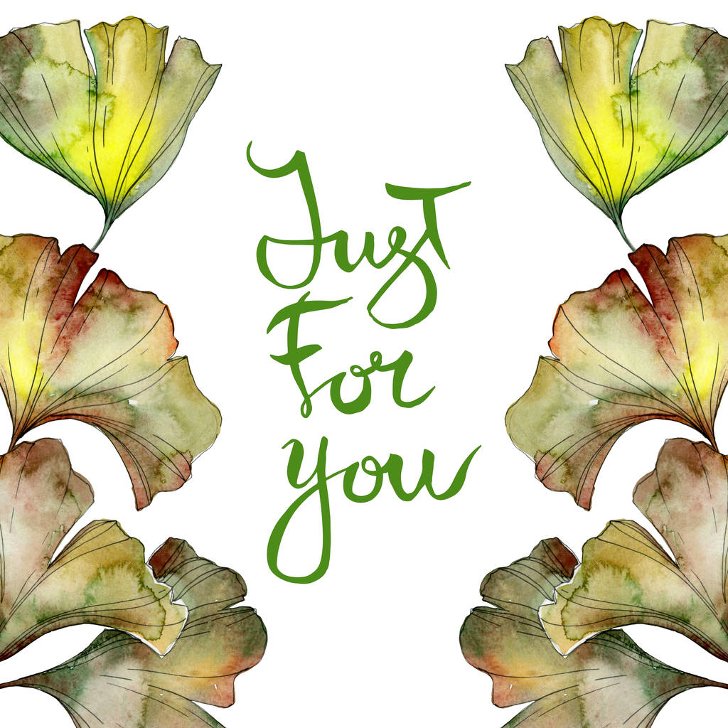 Set d'illustration isolé vert ginkgo biloba foliage aquarelle. Ornement de bordure de cadre avec lettrage juste pour vous
. - Photo, image