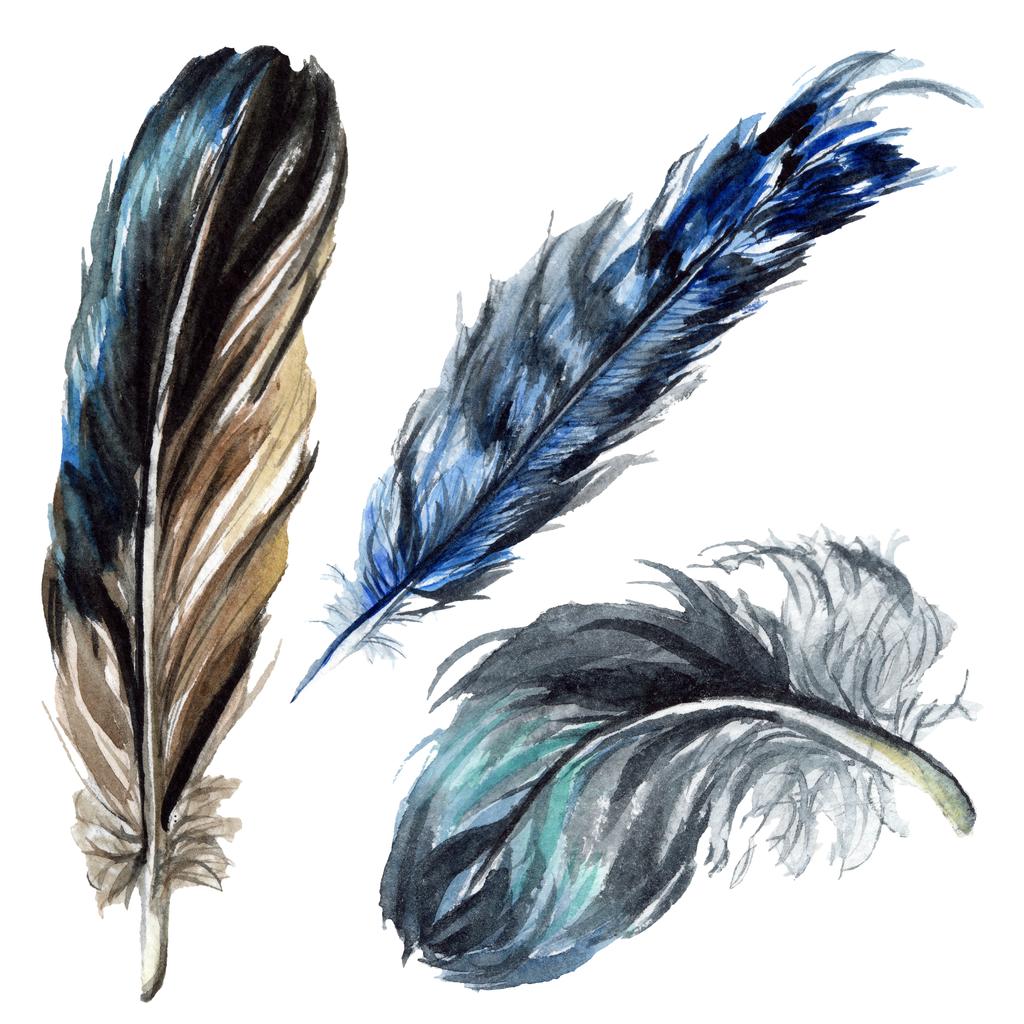 Kék és fekete madár toll szárny elszigetelt. Akvarell háttér illusztráció készlet. Elszigetelt tollak ábra elemei. - Fotó, kép