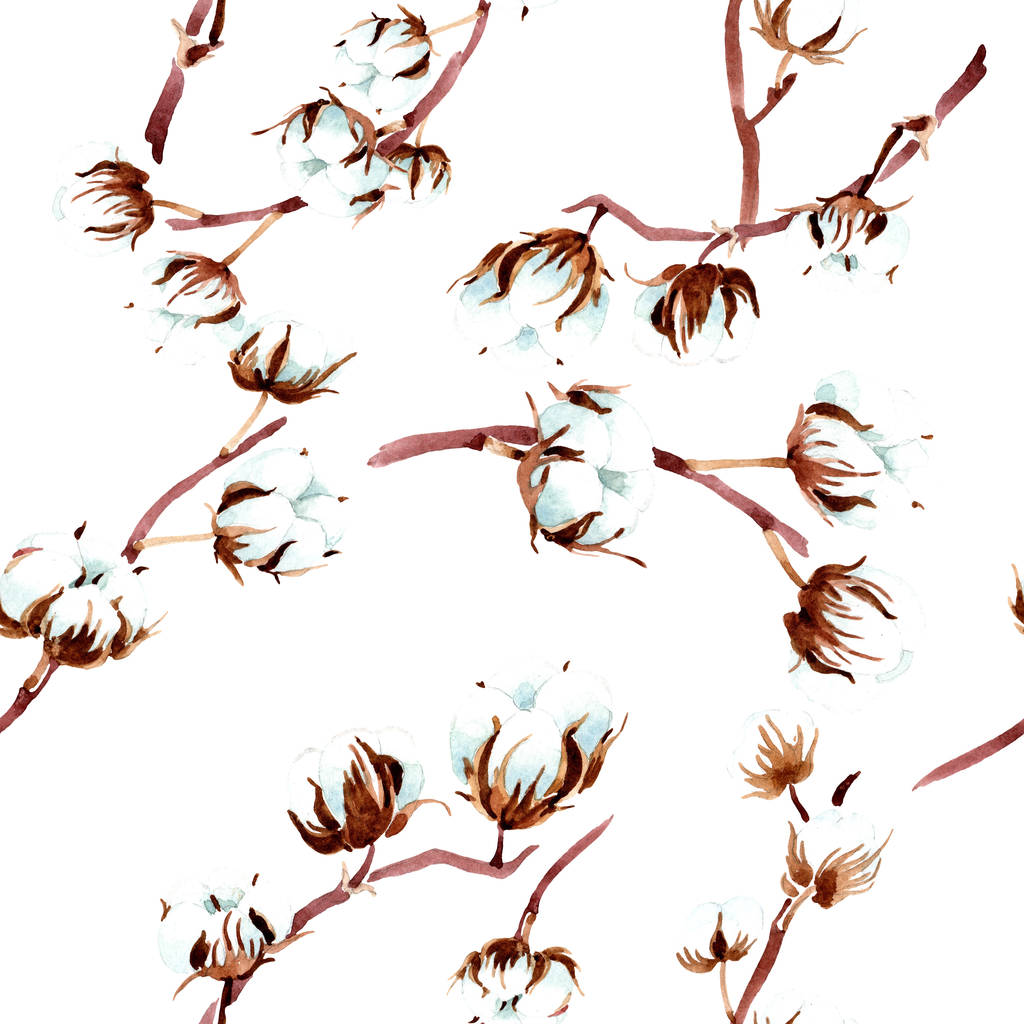 Fleurs botaniques en coton. Ensemble d'illustration aquarelle. Modèle de fond sans couture. Texture d'impression papier peint tissu
. - Photo, image