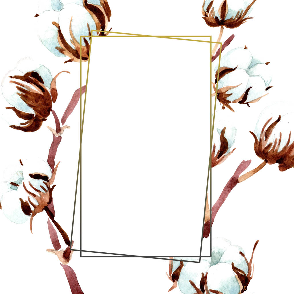 綿植物の花。水彩画背景イラスト セット。フレーム枠飾り. - 写真・画像