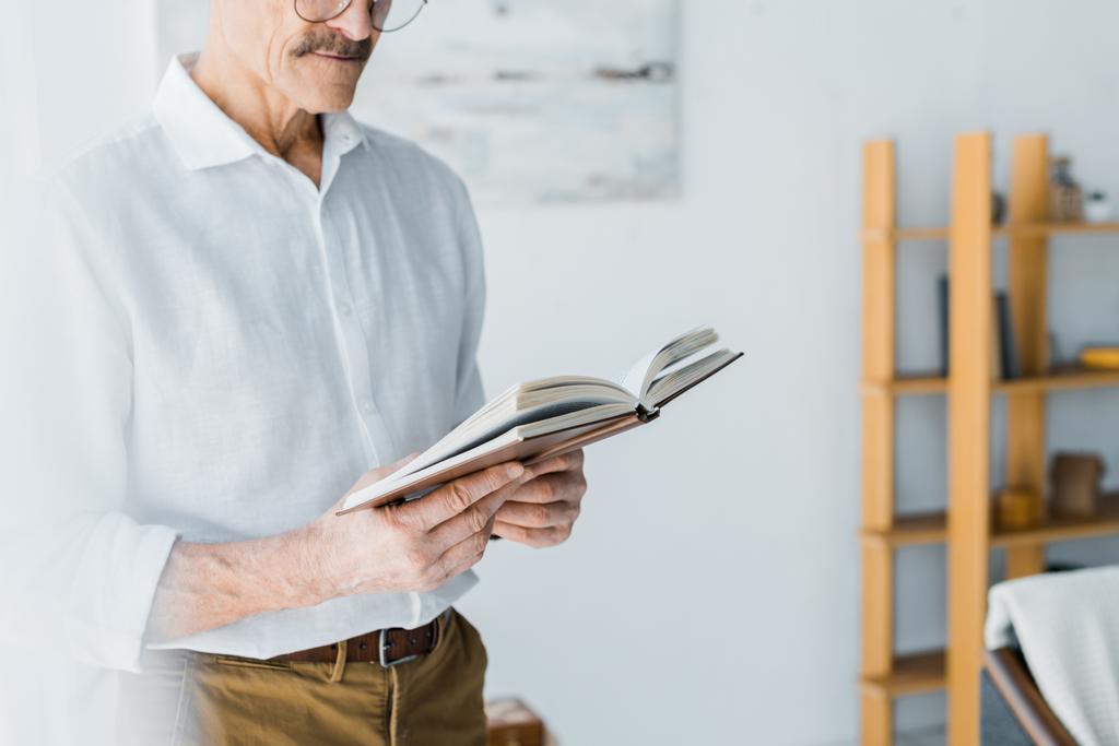 przycięte widzenia starszy człowiek, stojąc i czytanie książki w domu - Zdjęcie, obraz