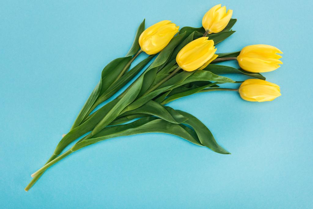 vista superior del ramo con tulipanes amarillos de primavera aislados en azul para el 8 de marzo
 - Foto, Imagen